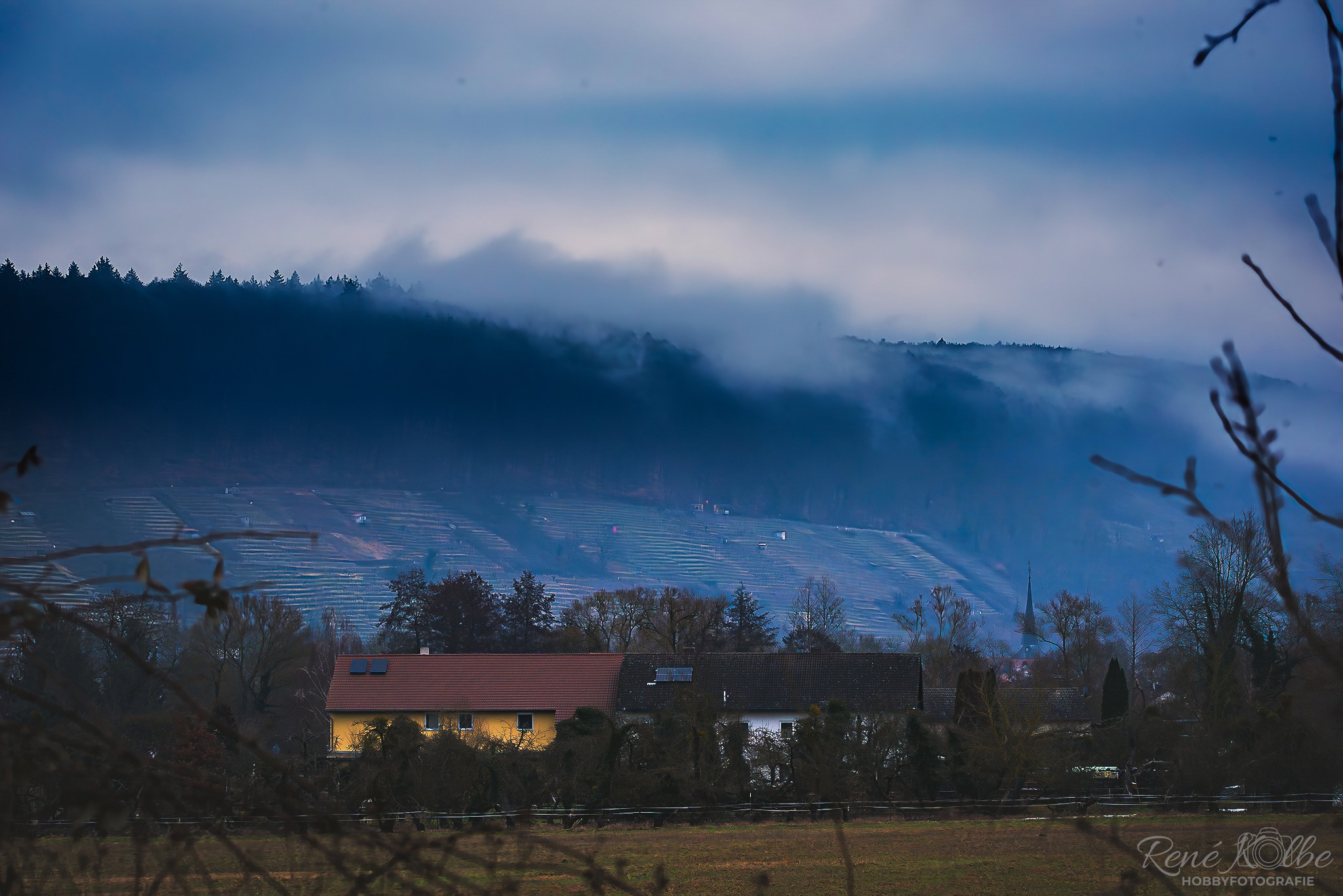 Nebelmorgen