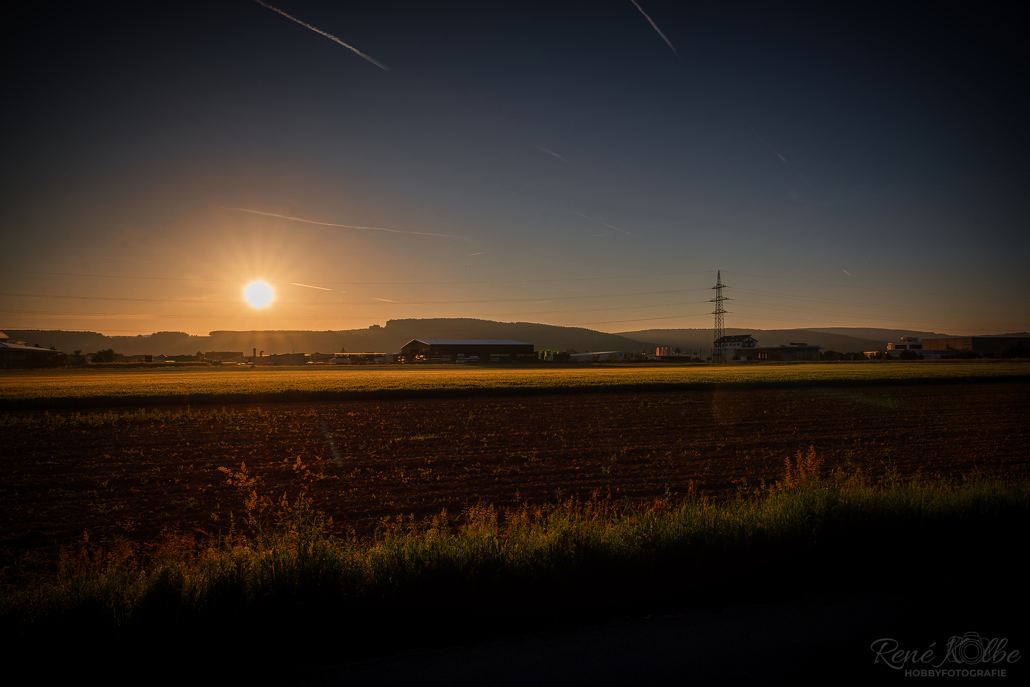 Sonnenaufgang am Main
